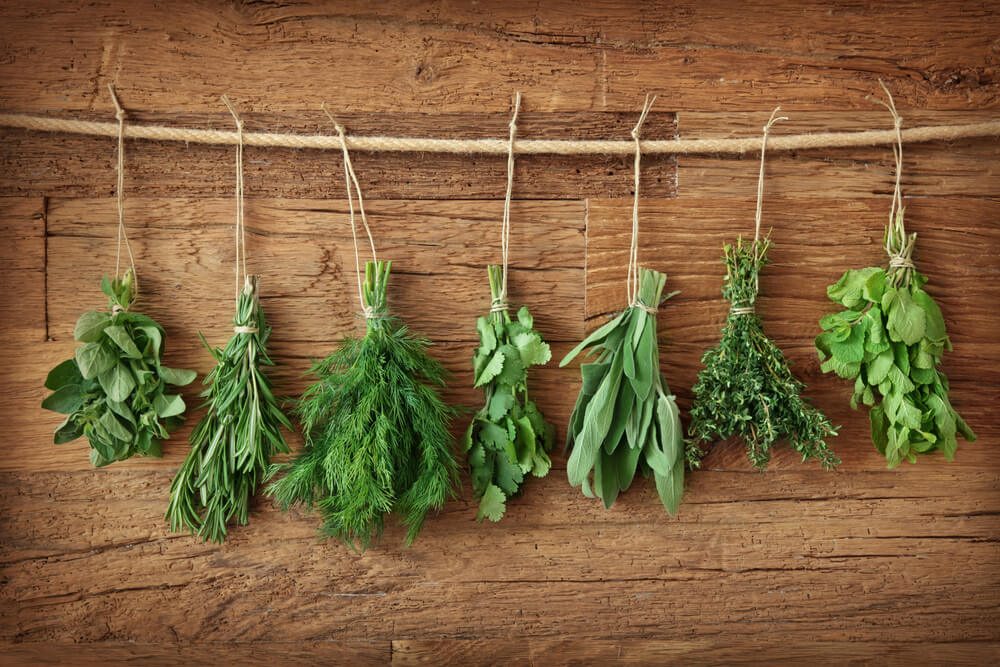 Discover the herbs that can improve your psychic abilities