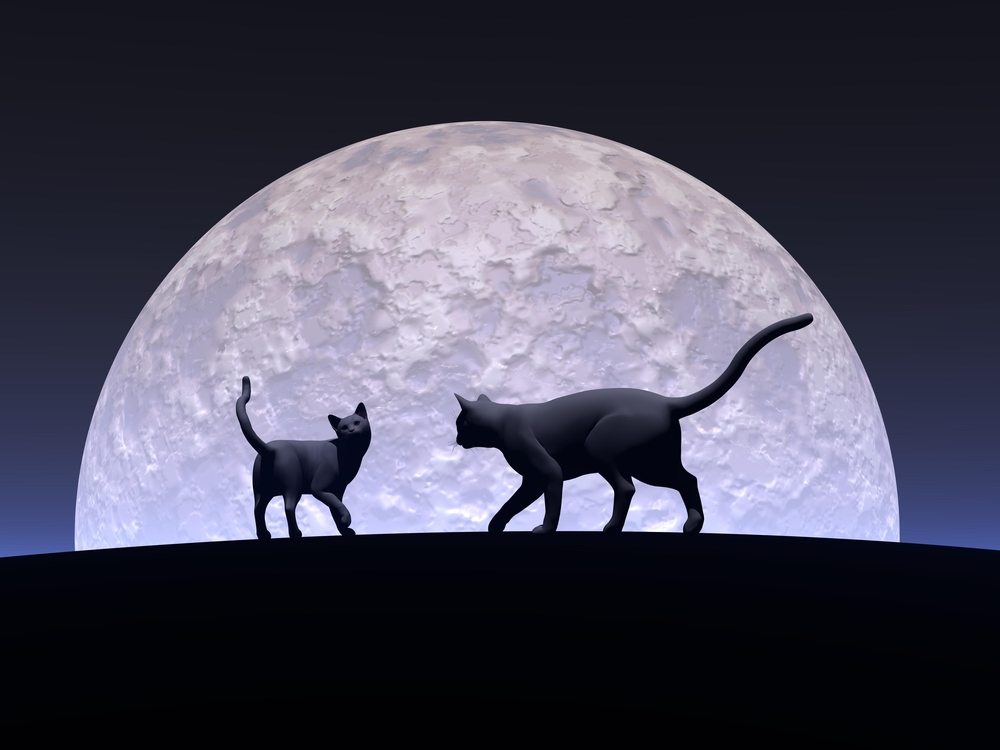 Superstitions of the Zodiac