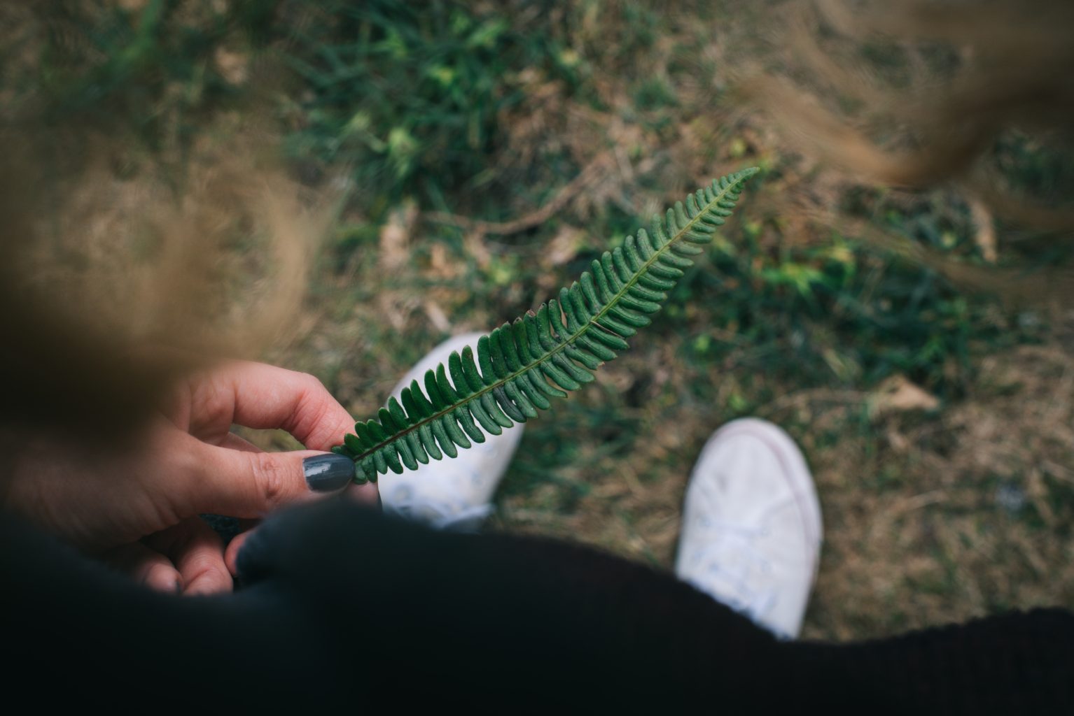 Finding Your Plant Totem