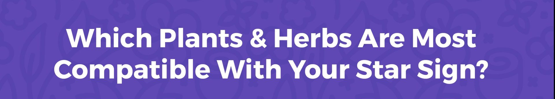 Which Plants & Herbs Are Most Compatible With Your Star Sign?